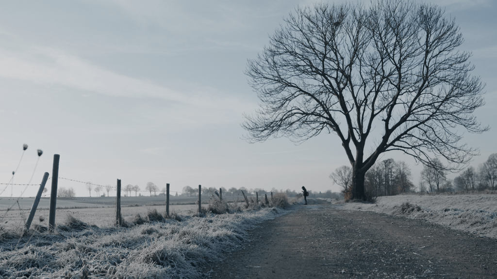 Winterlicher Feldweg mit kahlem Baum. Ein schmaler, gefrorener Pfad führt zwischen Weidezäunen hindurch zu einem großen, blattlosen Baum am Horizont. Der Raureif auf den Gräsern und die gedämpften Grautöne vermitteln eine stille, kalte Winteratmosphäre.